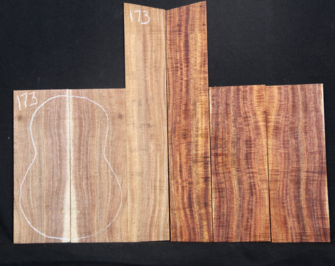 AAA Curly Koa Concert Ukulele set #173