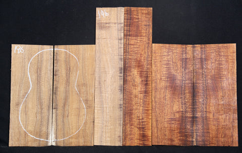 4A Concert Curly Koa Ukulele set #196