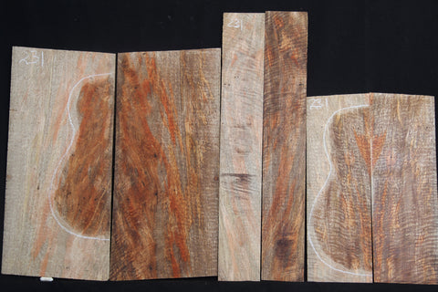 Exhibition Grade Mango  Baritone ukulele set #231