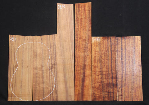 AAA Tenor Curly Koa Ukulele set #241