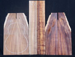 AA Tenor Curly Koa Ukulele set # 377