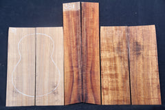 AAA Tenor Curly Koa Ukulele set # 381