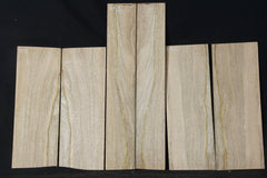 Mango Tenor Uke set #841 (Copy)