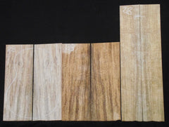 Mango Tenor set Ukulele set  #28