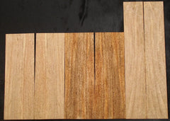 Mango Tenor Ukulele  set #861