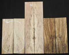 Spalted Mango Concert Ukulele set  #913