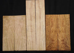 Mango Concert set Ukulele set  #971
