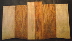 Curly Mango Tenor Ukulele  set #634